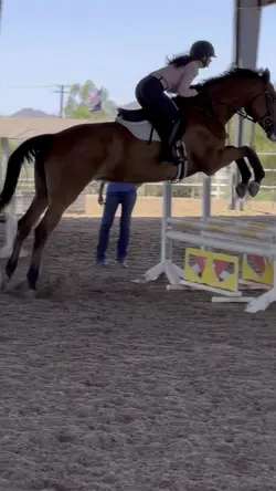 Horse one clip slomo