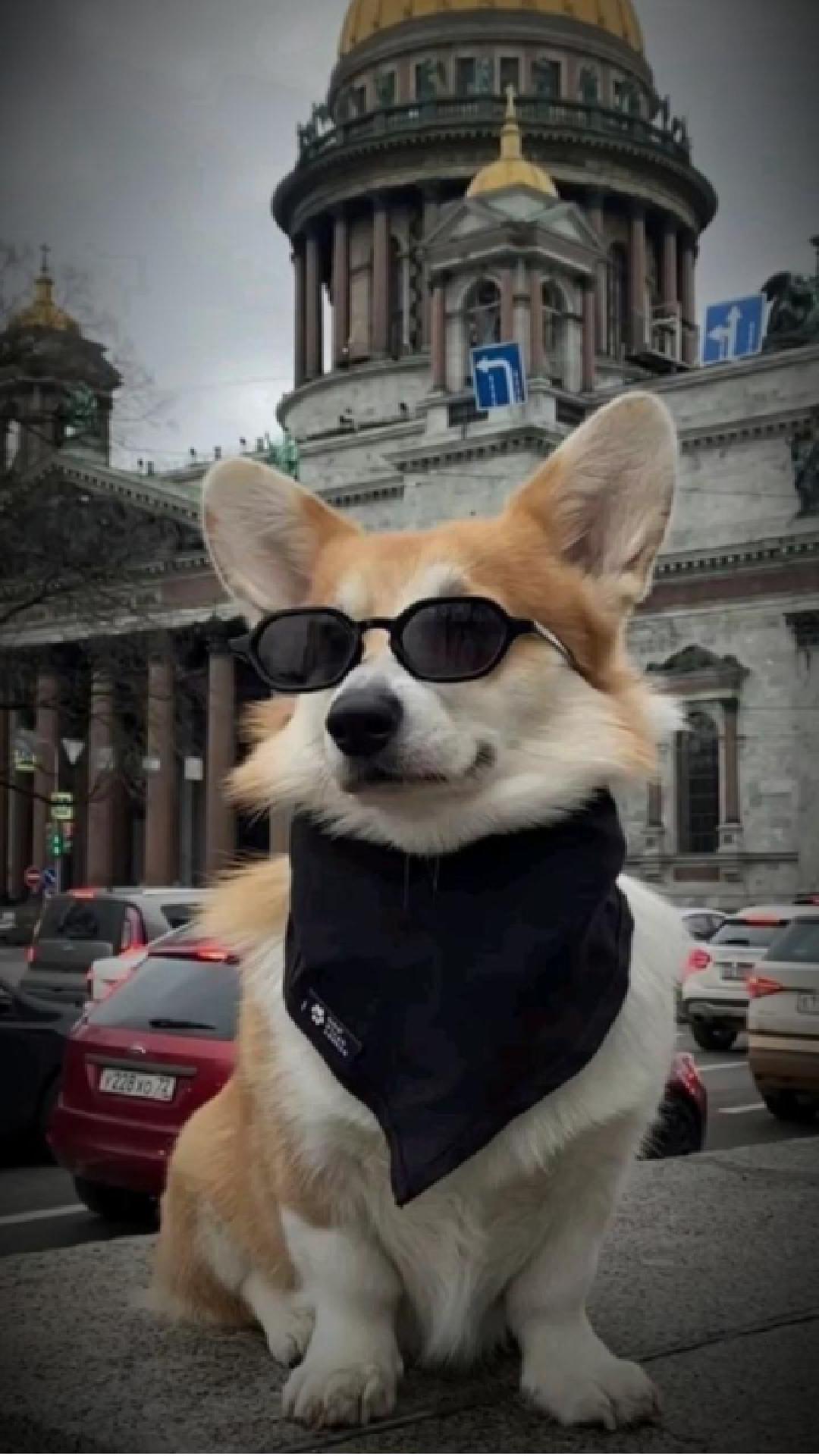 개 도시