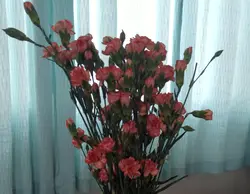 almost mothers day