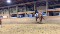 cantering on jett