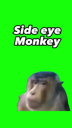 Side eye monkey
