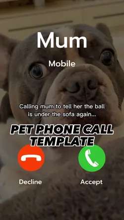 Dog phonecall