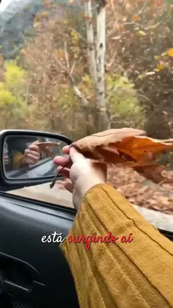 Um novo vencedor..