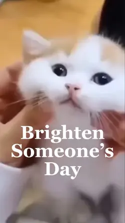 Brighten ur day 