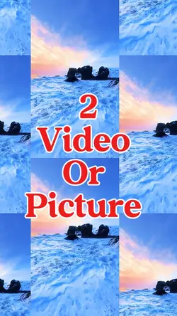2 video or picture 