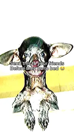 Scary dog