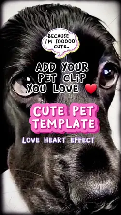 My cute pet