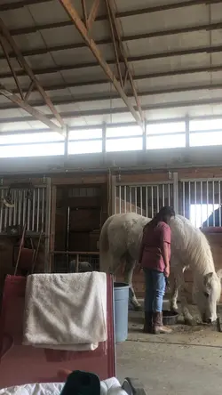 Brushing day