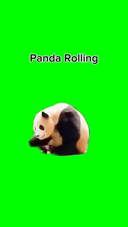 Panda Rolling Meme