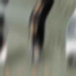 ILY ALIEEN💗💗💗