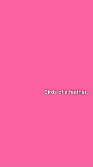 Birds of a feather 