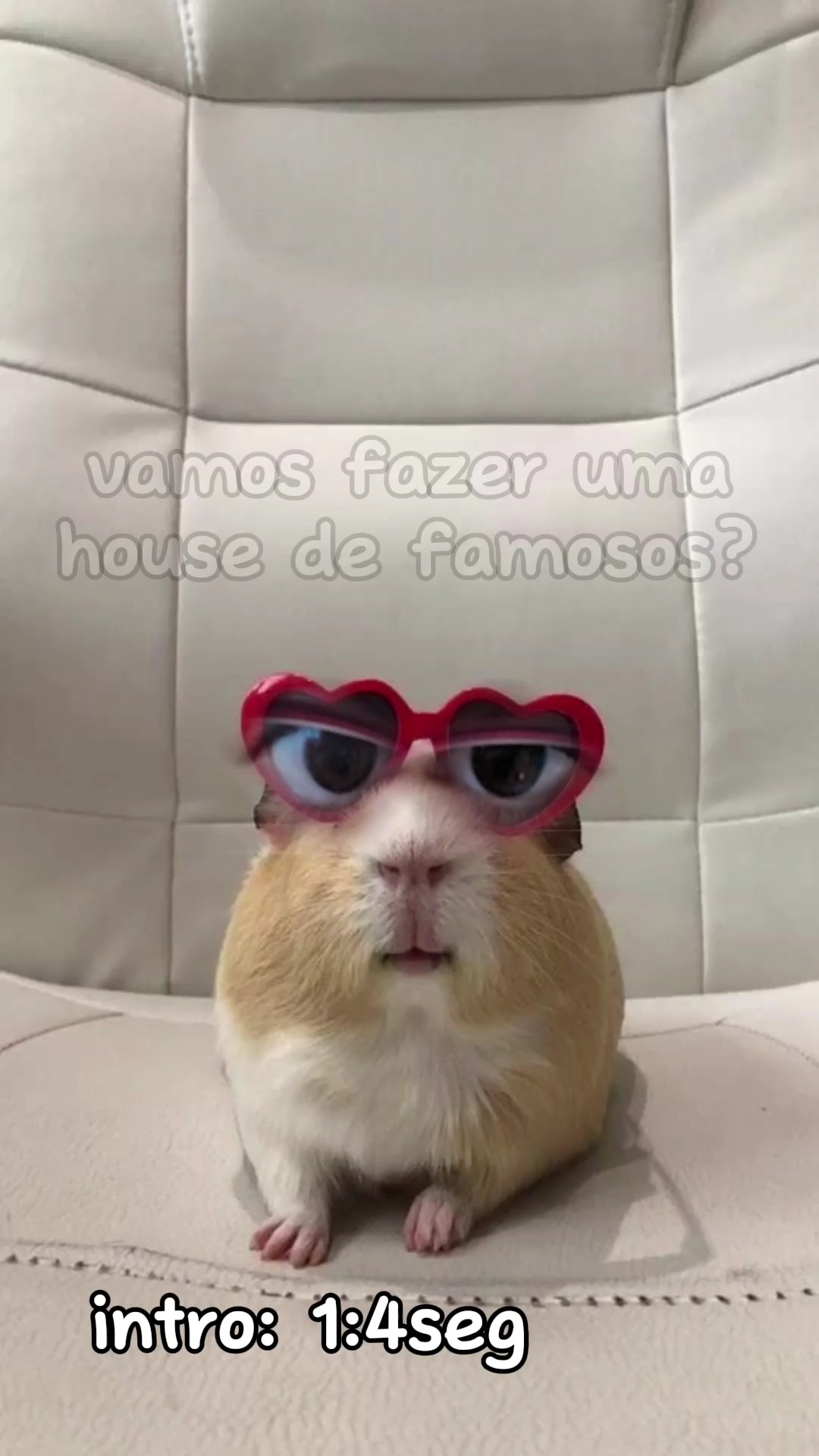 house de famosos 