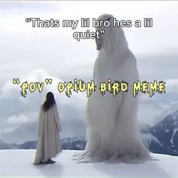 Opium bird meme