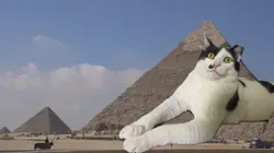 The Sphinx