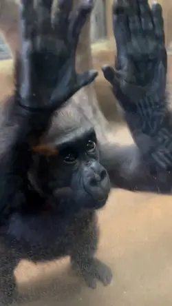 zoo day 