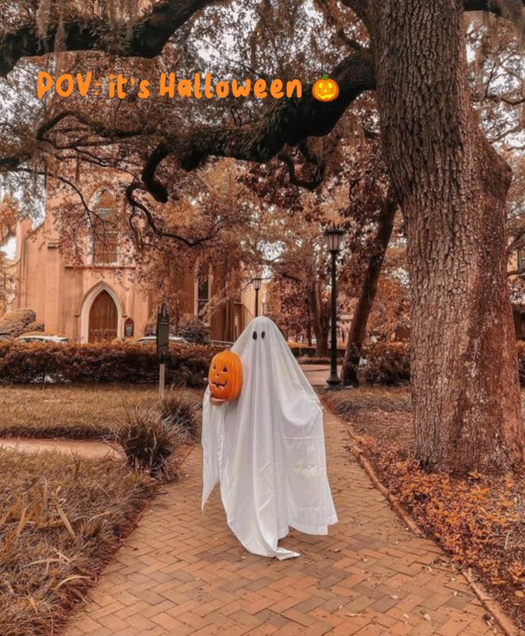 Trick or Treat!?