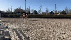 ⚠️FAKE AI GENERATED⚠️