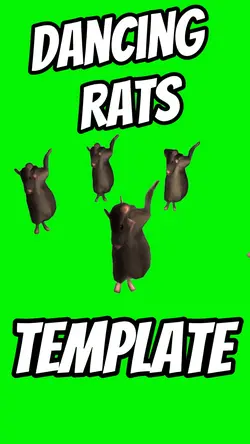 Dancing Rats