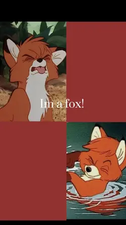 Fox and hound dog🤍