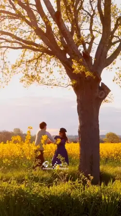 musica sertanejo 