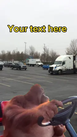 Monkey driving