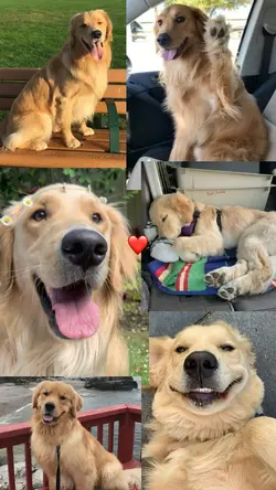 CUTE AND CUTE ❤️