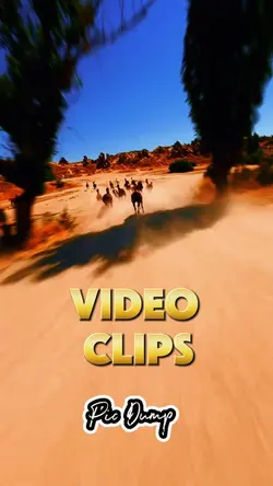 Video dump