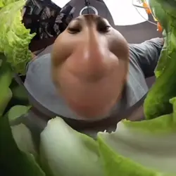 Funny eatin