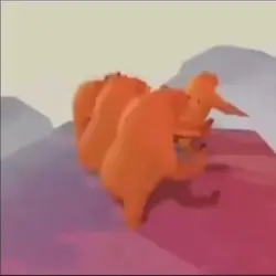 Funny bears