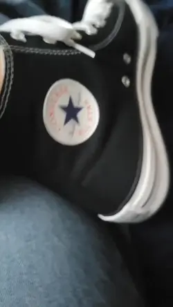 saving Private lamas