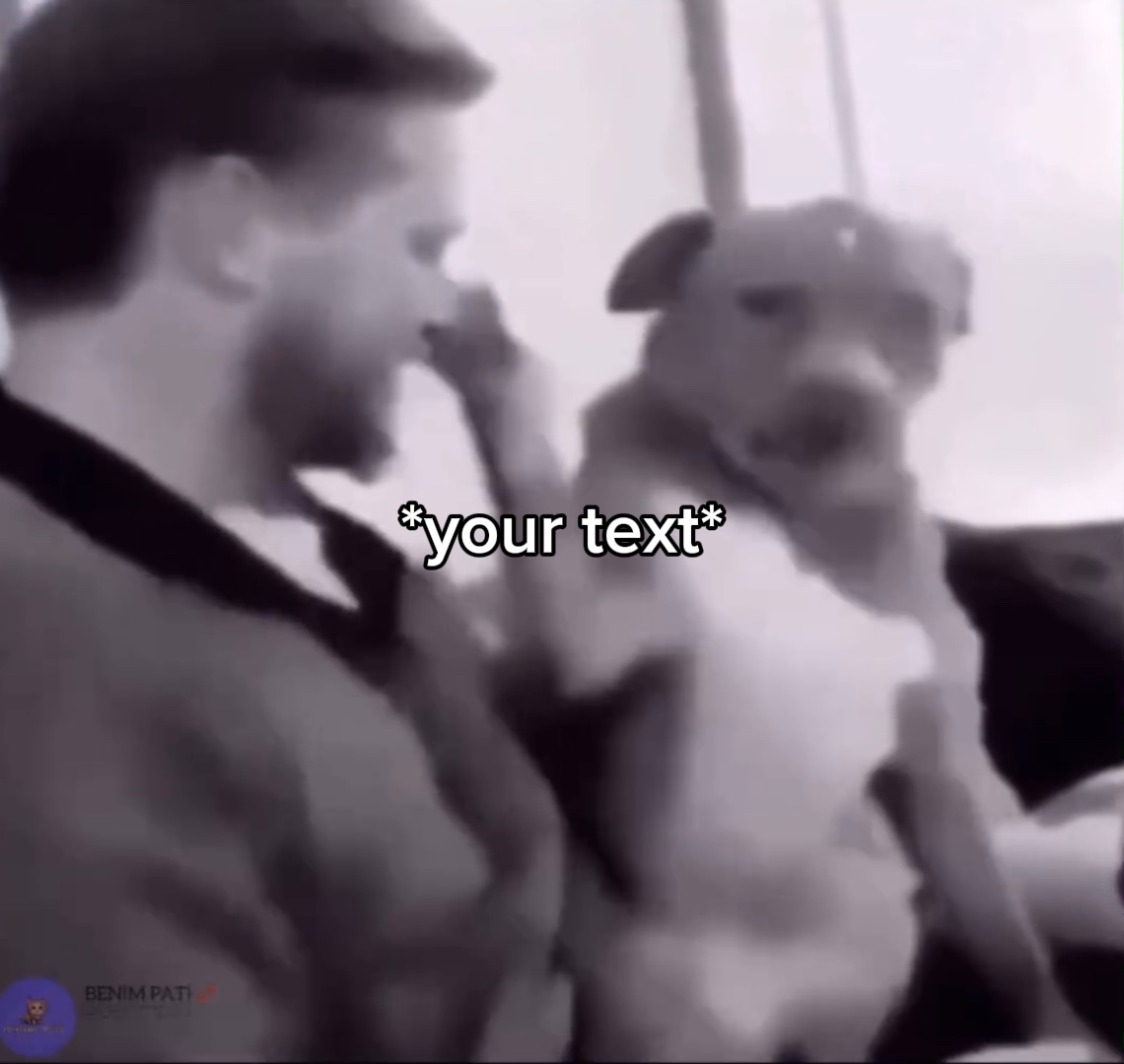 Dog slap