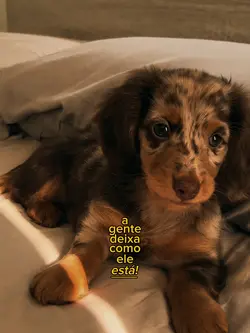 Se tem