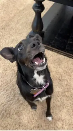 Awww