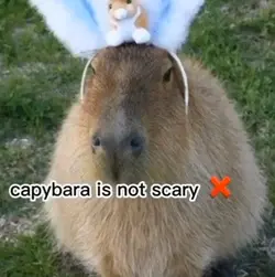 Capybara slay