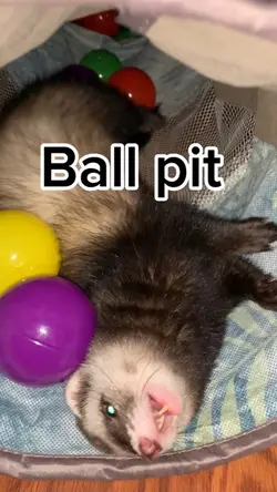 Ball pit