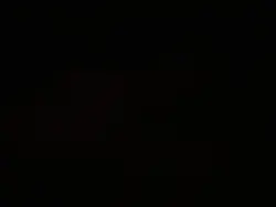 IntrovertXExctrovert