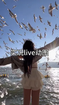 实况live动图