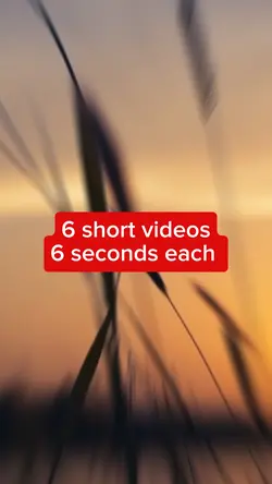 6 short videos vlog