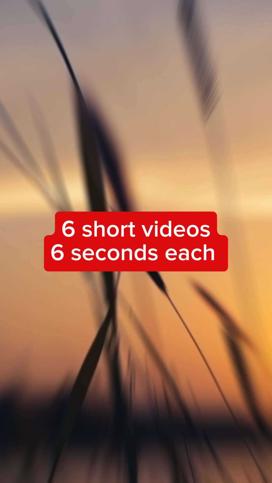 6 vidéos courtes vlog