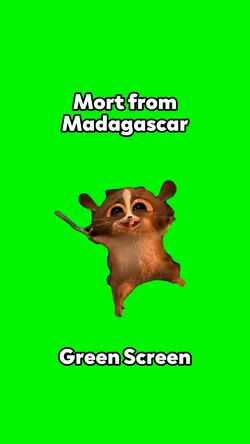 Mort from Madagascar