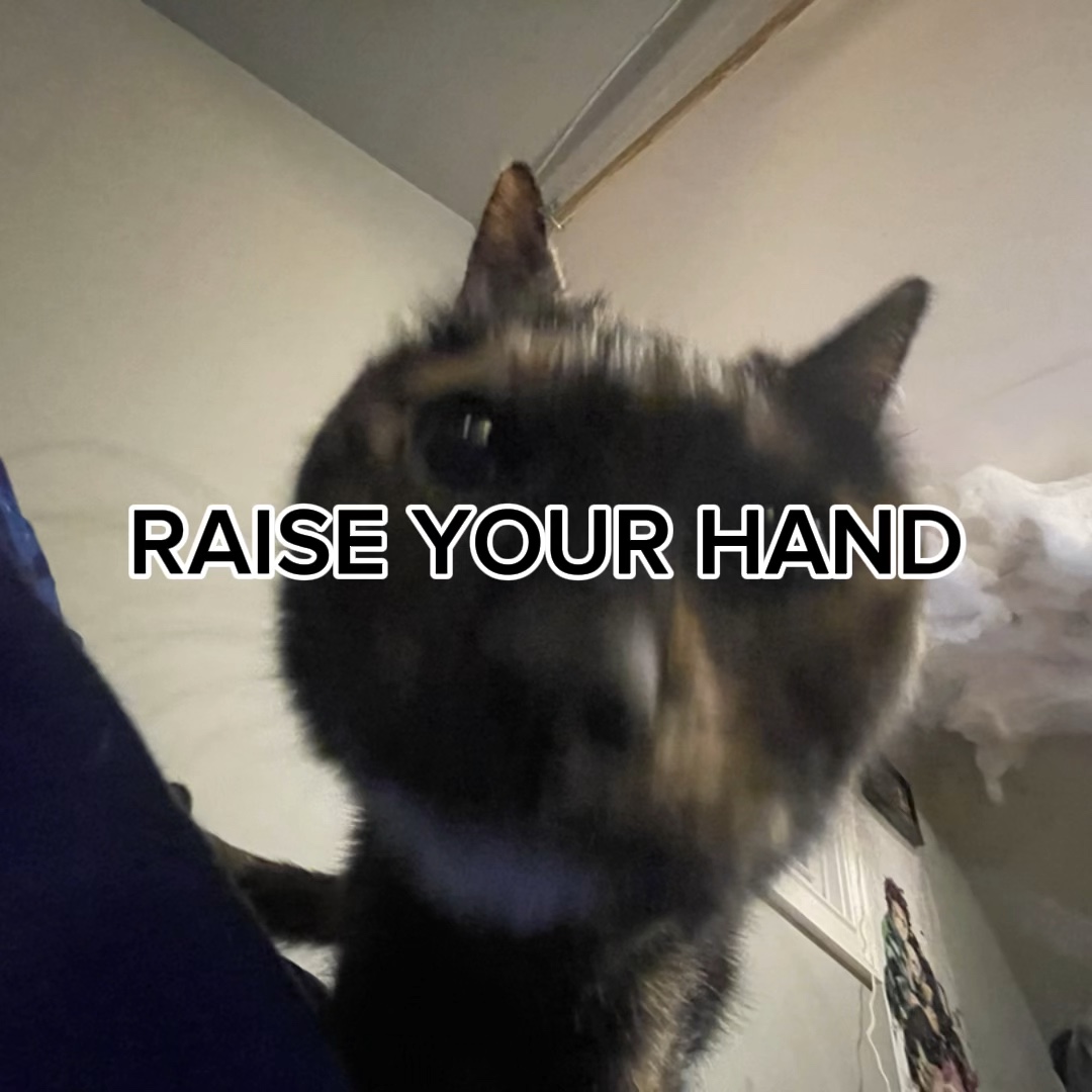 Raise your hand