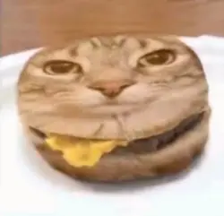 fart 