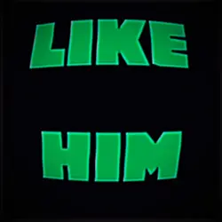 LIKE HIM