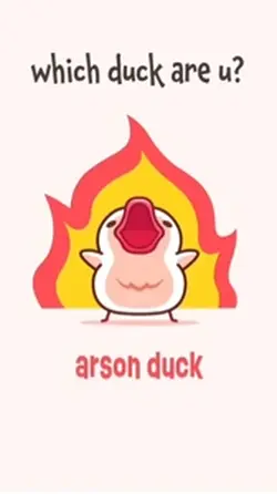 Which duck are you?