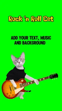 Guitar Cat