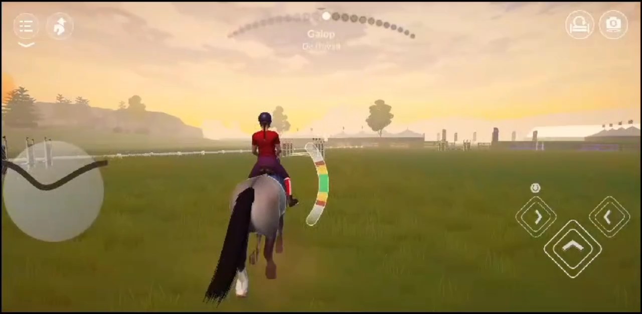mon poney de concour
