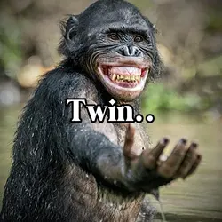 Monkey Twin