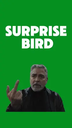 Surprise Bird