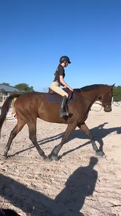 Show off 🙄⚠️FAKE⚠️