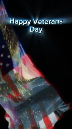 Veterans day